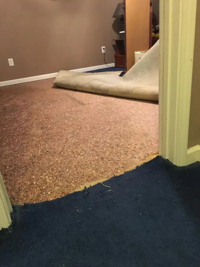 Carpet pad removal revealing water damage during Water Mitigation Services in Cayce