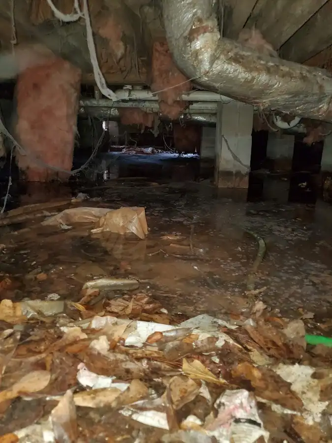 Crawl space flood assessment for Leak Detection & Repair in Cayce